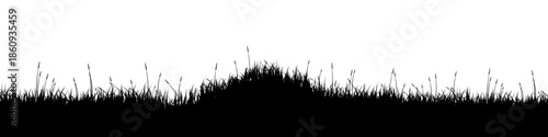 Meadow silhouette with grass, plants on plain. Panoramic summer lawn landscape with herbs, various weeds. Herbal border, frame element. Black horizontal banners. Vector illustration