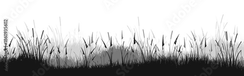 Meadow silhouette with grass, plants on plain. Panoramic summer lawn landscape with herbs, various weeds. Herbal border, frame element. Black horizontal banners. Vector illustration