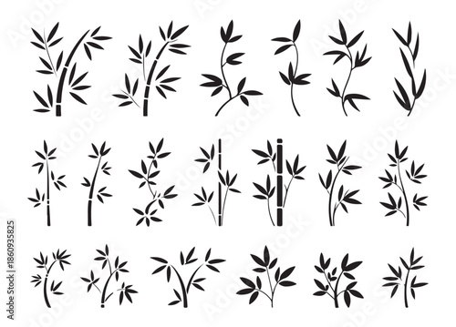Set of bamboo branches with leaves and stalks on white background, natural elements stylized illustration