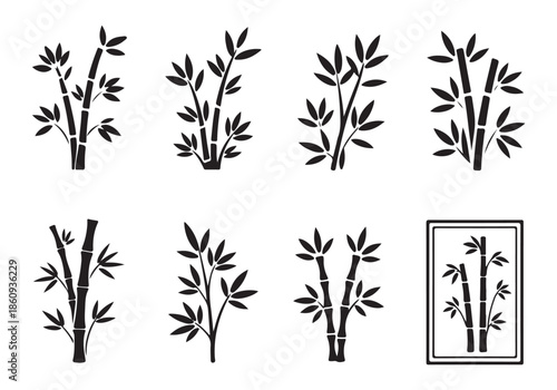 Set of black bamboo plants with distinct border frames vector illustration, bamboo shoots and leaves decorative