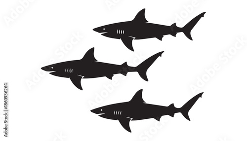black color shark set of silhouette vector illustration, solid white background