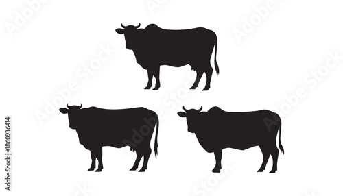 black color cow set of silhouette vector illustration, solid white background