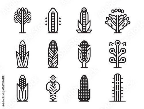 Corn cob harvest brings joyful moments