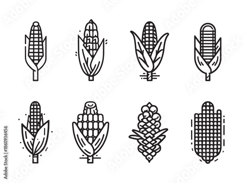 Corn cob recipes delight every family