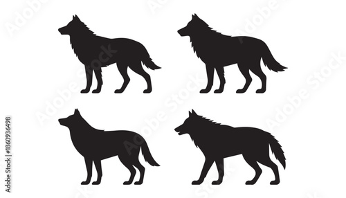 black color wolf set of silhouette vector illustration, solid white background
