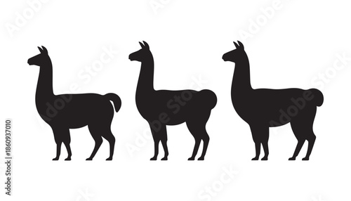 black color Llama set of silhouette vector illustration, solid white background