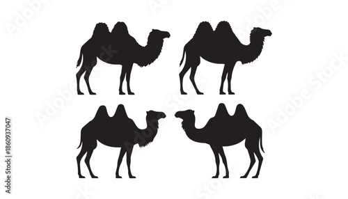 black color camel set of silhouette vector illustration, solid white background