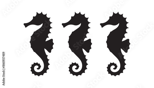 black color seahorse set of silhouette vector illustration, solid white background