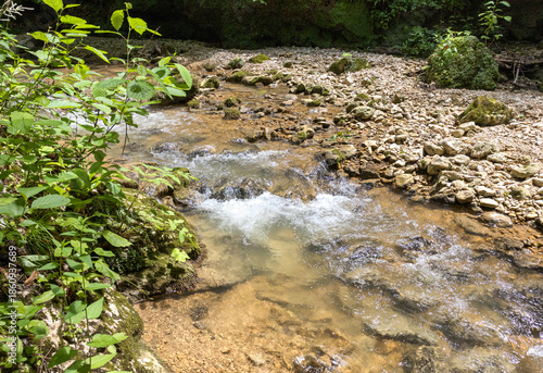 Autumn, a small shallow stream rushes to the big water through the forest