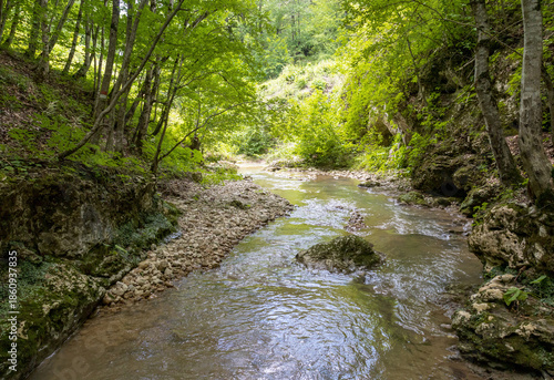 Autumn, a small shallow stream rushes to the big water through the forest