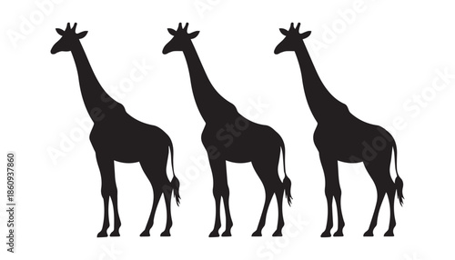 black color giraffe set of silhouette vector illustration, solid white background