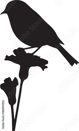 Black silhouette of bird perched on flower stem