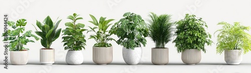 Potted houseplants in a row