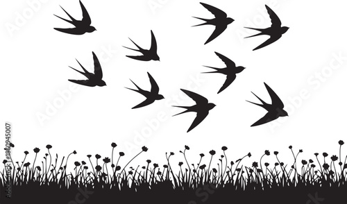 Black silhouette swallows flying over a field of flowers