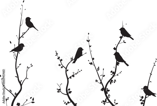 Black silhouettes of birds on branches against white background