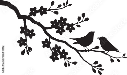 Two black birds sitting on a flowering branch white
