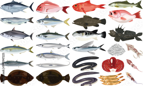 魚介類のイラスト・アイコン②（鮪、鯛、うなぎ、鮭、ふぐ）	