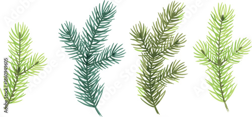 Hand drawn pine branch illustration set featuring green evergreen foliage elements isolated on white background for nature, winter, Christmas, and botanical design projects