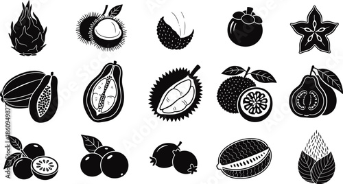 Tropical Exotic Fruit and Plant Icon Set - Detailed Black Solid Vector Symbols for Natural Food Products and Nutrition