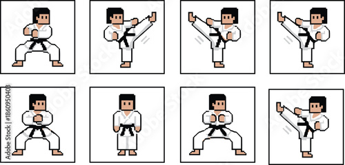 Pixel art karate fighter animation frames illustrating martial arts stances, kicks, and combat moves isolated on white background for retro game, arcade, and character design use