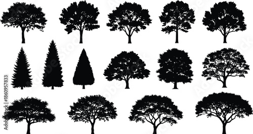 Black tree silhouettes set, isolated vector collection of various deciduous and coniferous forest trees, oak, pine, maple shapes for nature landscape design elements
