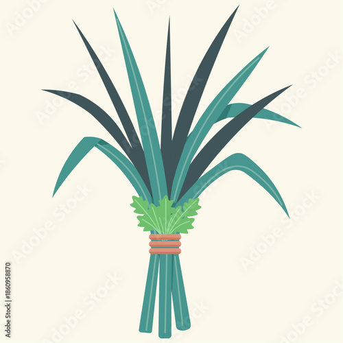 Mugwort And Calamus Leaves Duanwu Festival Vector