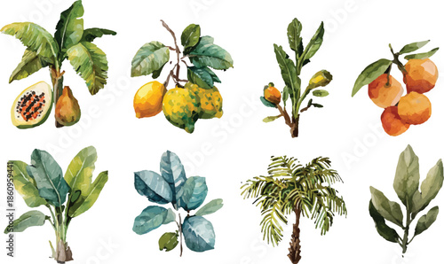 vector set of green leaves