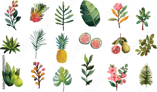 set of different berries and leaves