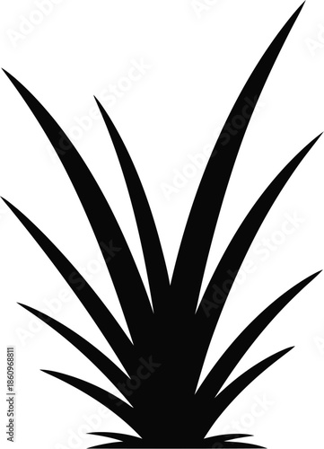 aloe vera plant, Sea grass day