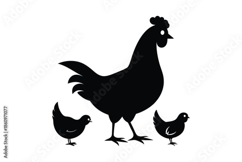 Mother hen with her chicks silhouette on white background