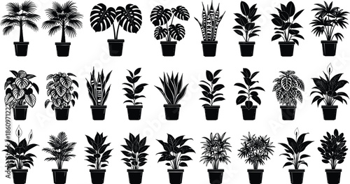 Indoor houseplant silhouette collection featuring tropical foliage, potted plants, and decorative greenery for modern interior and botanical design