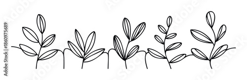 Minimalist botanical line drawing of various stylized plant branches with leaves, ideal for elegant product packaging, natural decor elements, or modern stationery designs.