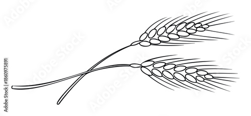 Graphic black outline depiction of two intertwined wheat ears symbolizing agriculture and harvest, suitable for bakery product packaging or farming industry branding.