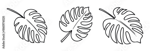 Tropical botanical leaf outlines provide a versatile graphic resource for modern interior decor branding and summer holiday greeting templates