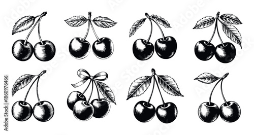 Vintage style cherry berry drawings with leaves and stems for delicious food packaging, summer menu graphics, natural ingredient labels, and healthy snack advertisements.
