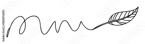 Abstract black line forming a dynamic scribble and elegantly transforming into a stylized organic leaf, perfect for minimalist branding, ecofriendly product packaging, or decorative graphic