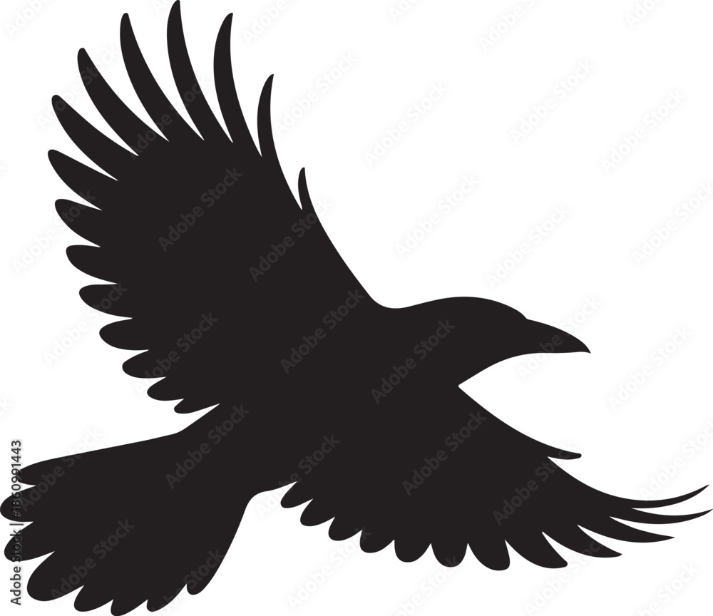 Obraz premium Black Bird Silhouette in Flight flying wings