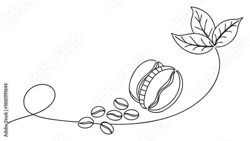 Elegant single line drawing of coffee beans and leaves, symbolizing freshness and aroma.