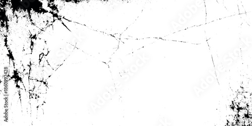 A stark black and white image displays abstract cracking patterns resembling weathered surfaces or fractured terrepsn