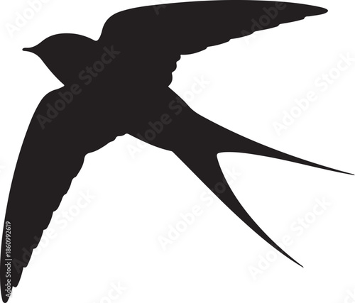 Black silhouette of a bird in flight with extended wings