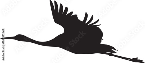 Black silhouette of a bird in flight with outstretched wings