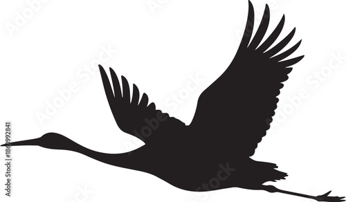 Black silhouette of a bird in flight with outstretched wings