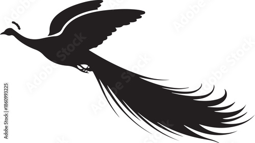 Black silhouette of a bird with long tail feathers in flight