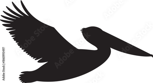 Black silhouette of a pelican in flight bird flying
