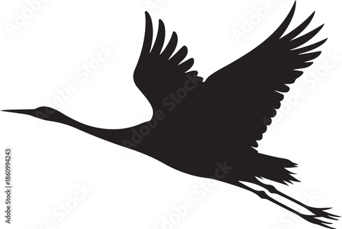 Silhouette of a bird in flight with extended wings