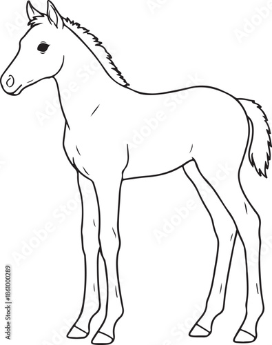 Baby Horse Silhouette | Cute Foal Animal Shape Isolated on White