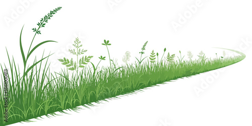 Lush green grass and wildflowers on white background