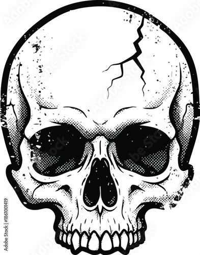 Cracked Human Skull Illustration Black White.