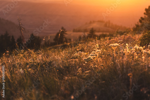 Sunset Backlighting On Canyon Land Close Up