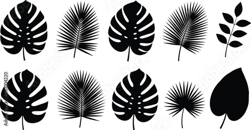 Black tropical leaf silhouette collection featuring various exotic palm monstera and fern shapes for jungle nature patterns summer decor and vector design.